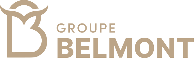 Logo Groupe BELMONT, partenaire de formation du GEIQ AC2R SUD